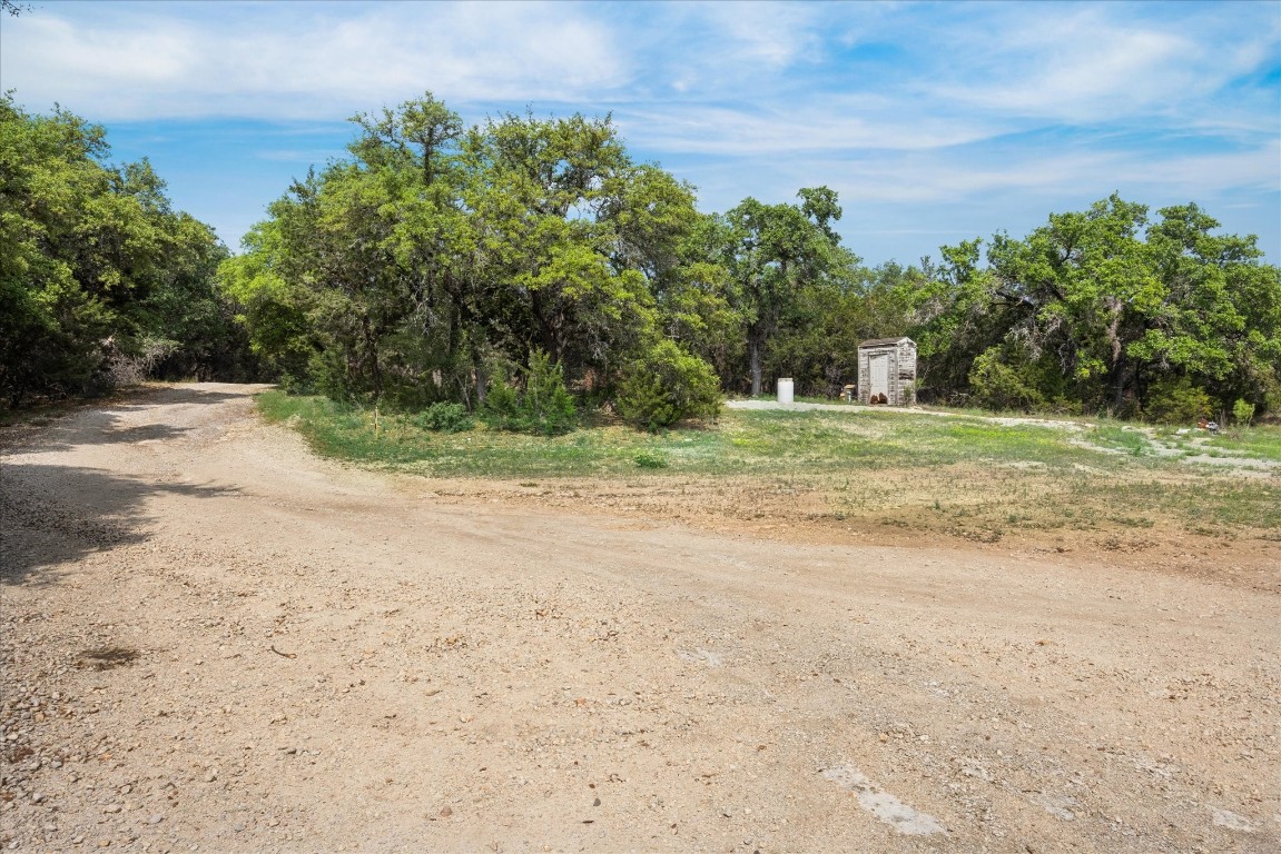 a view of a yard with a tree