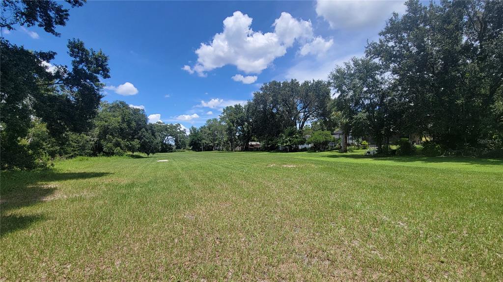 a view of yard with green space