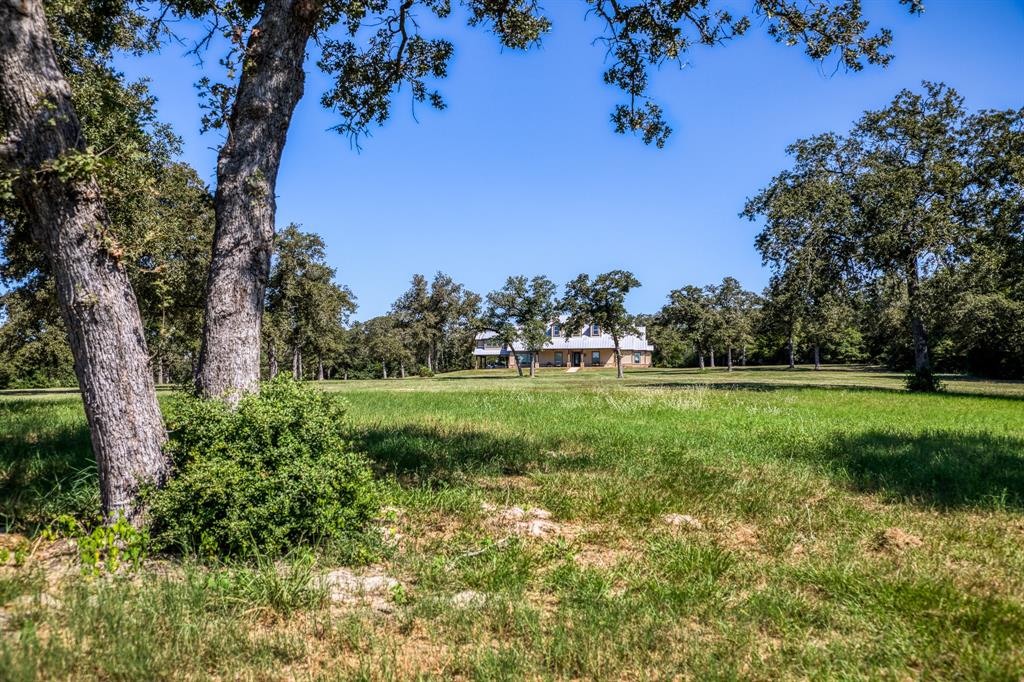 a view of yard with green space