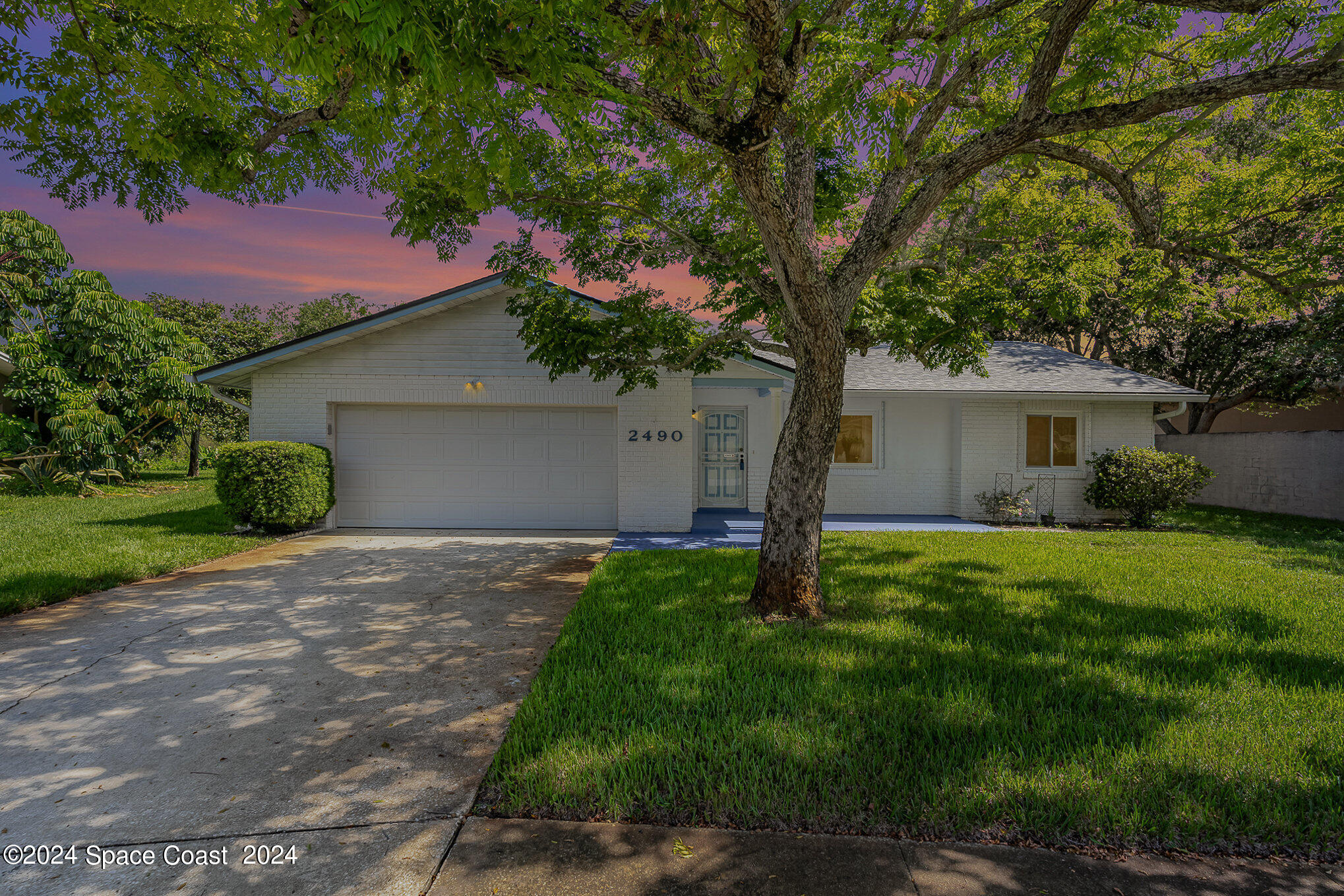 a backyard of a house with plants and large tree