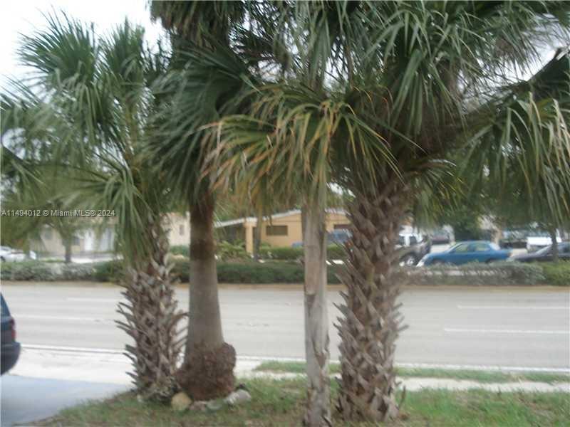 a view of street with a yard