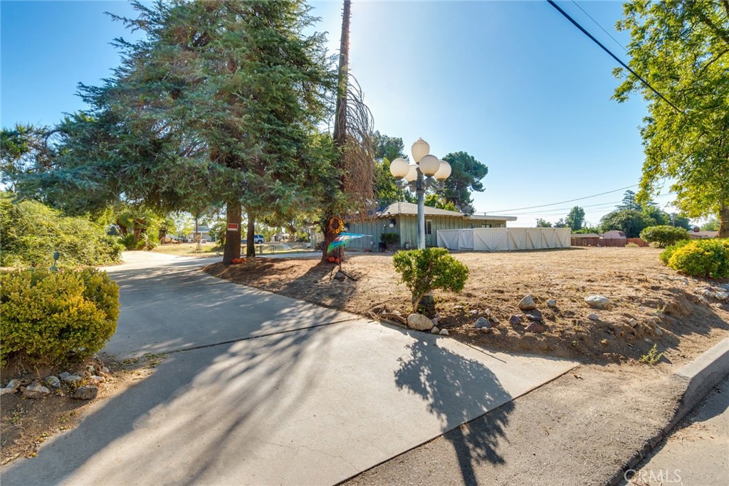 a view of a yard with an trees