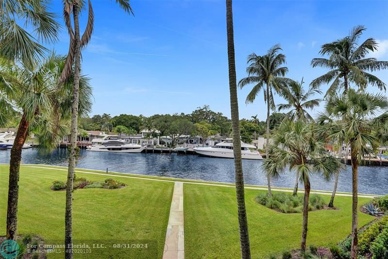 a view of a lake with palm trees