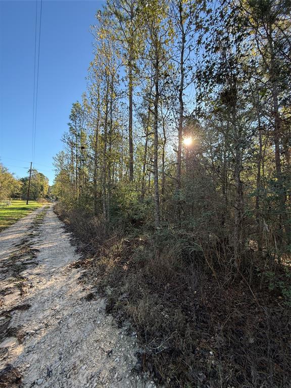 a view of a yard with trees