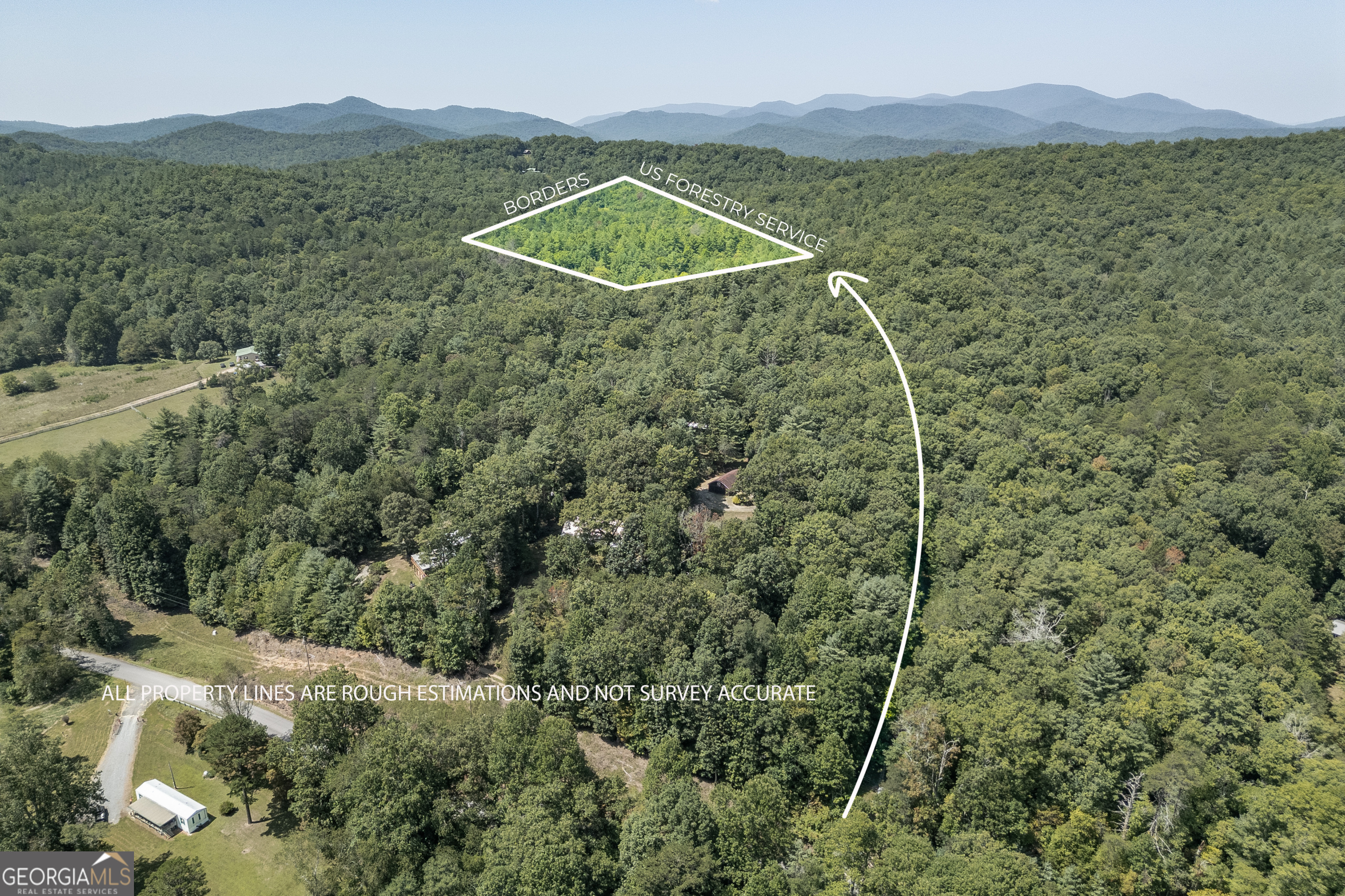 a view of a mountain with a forest