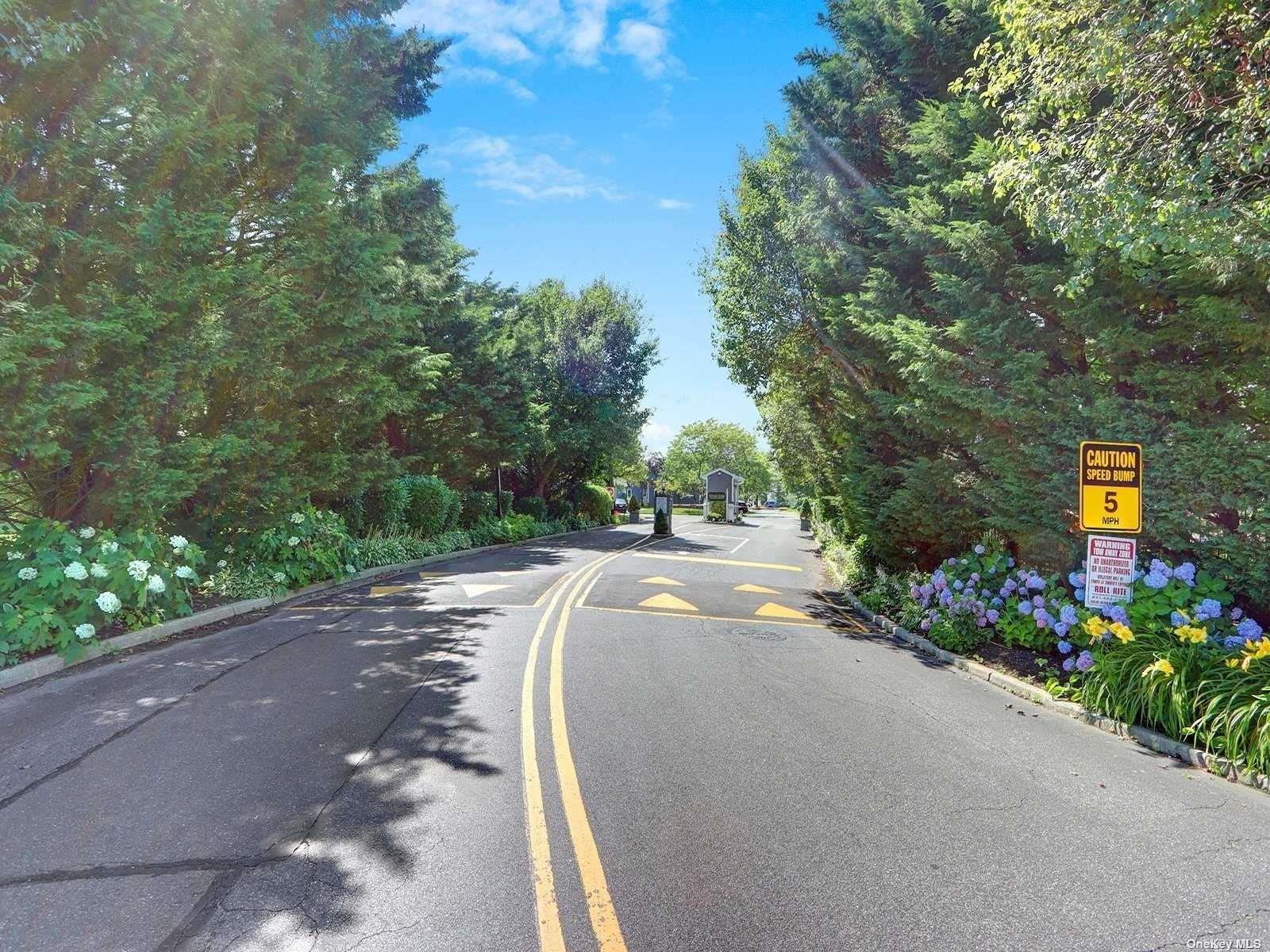 a view of a street with a trees