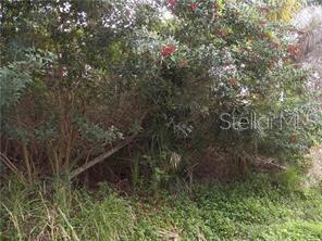 a view of a plants of a house