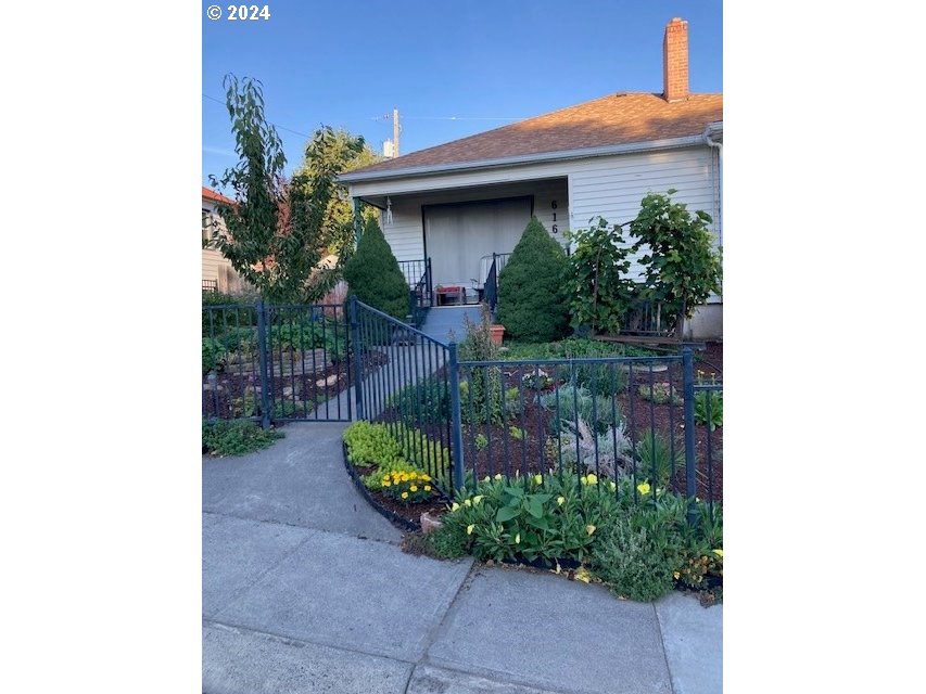 a view of a backyard with plants