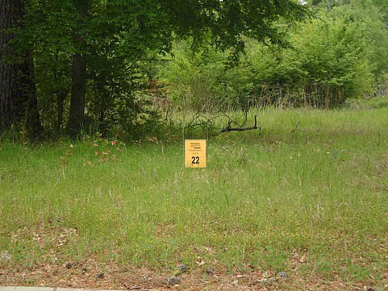 a view of a back yard