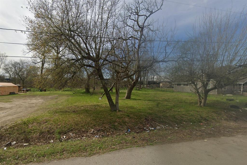 a view of a tree in a yard