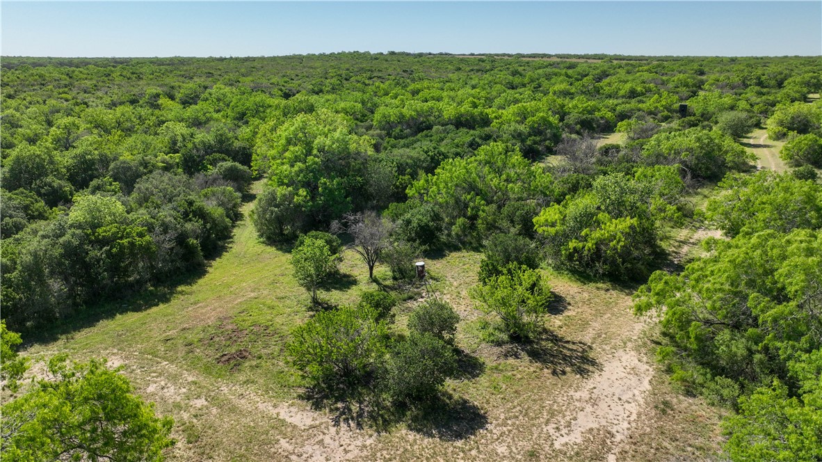 a view of a green yard