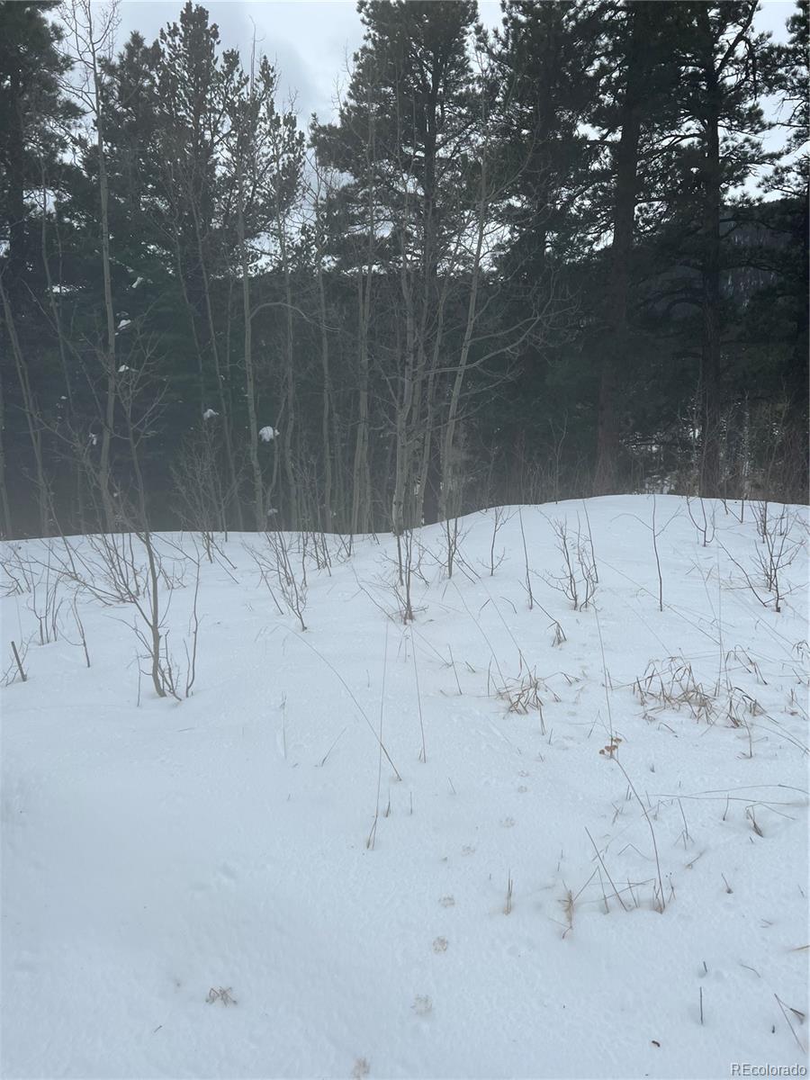 a view of snow on a road