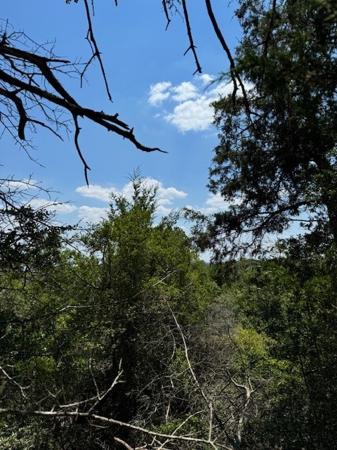 a view of a tree