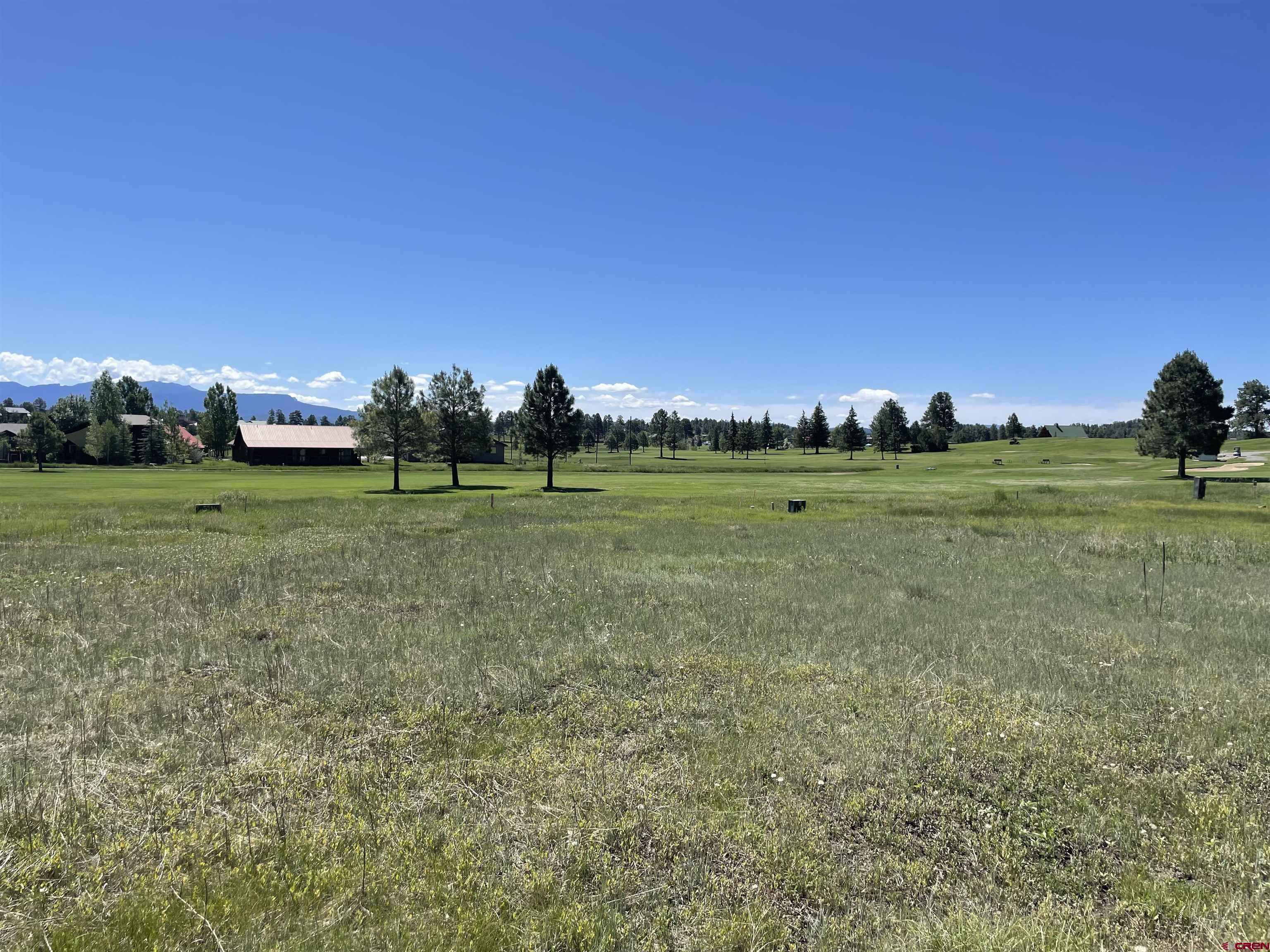 a view of a green field with trees in the background