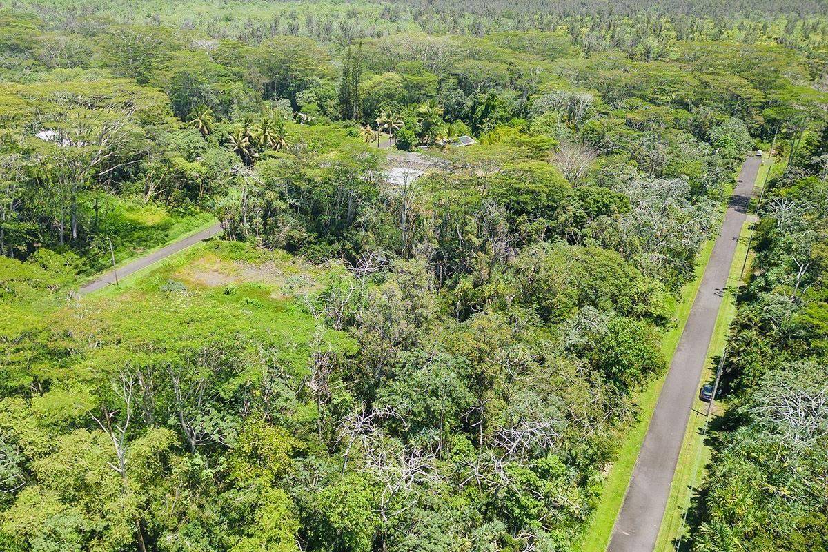 a view of a lush green forest with trees and houses