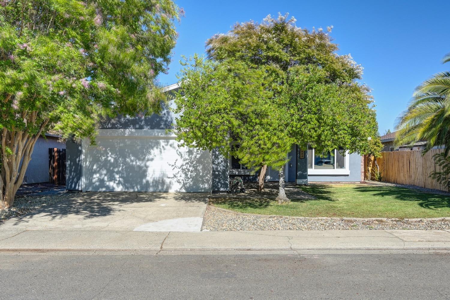 a view of a tree in front of a house