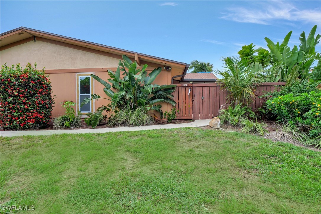 a view of a backyard with plants and a large tree