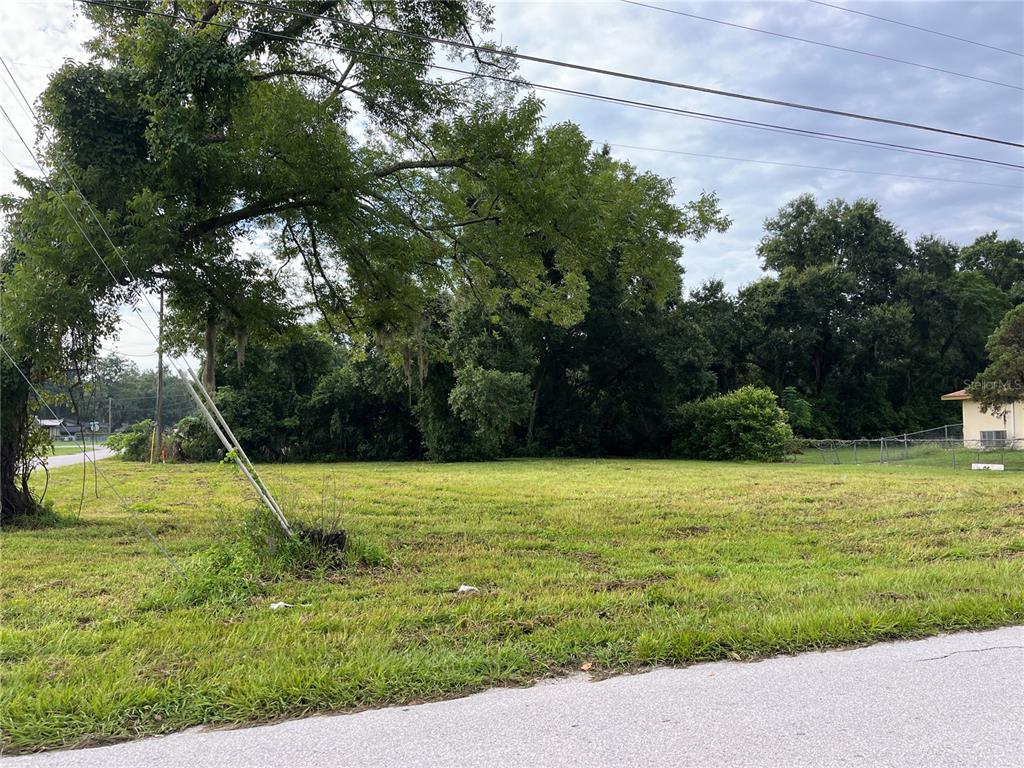 a view of a yard with a tree