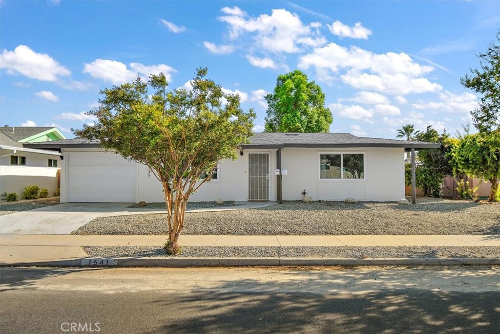 a view of a house with a backyard and a tree