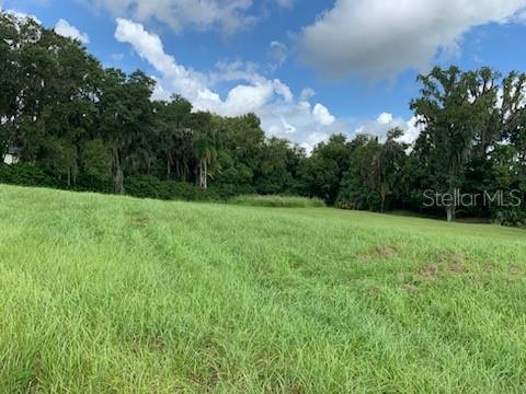 a view of a grassy field with trees in the background