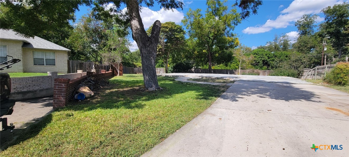 a view of backyard with large tree