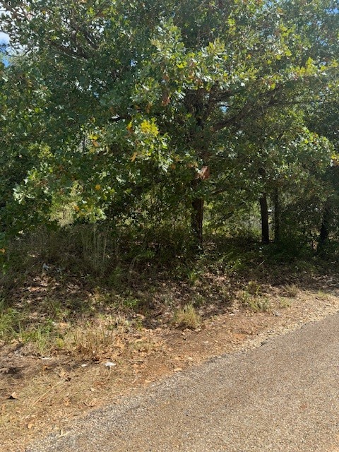 a view of a yard with a tree