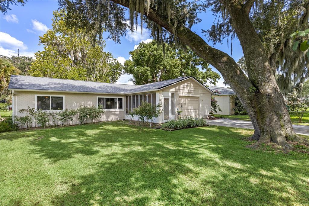 a view of a house with a yard and a large tree