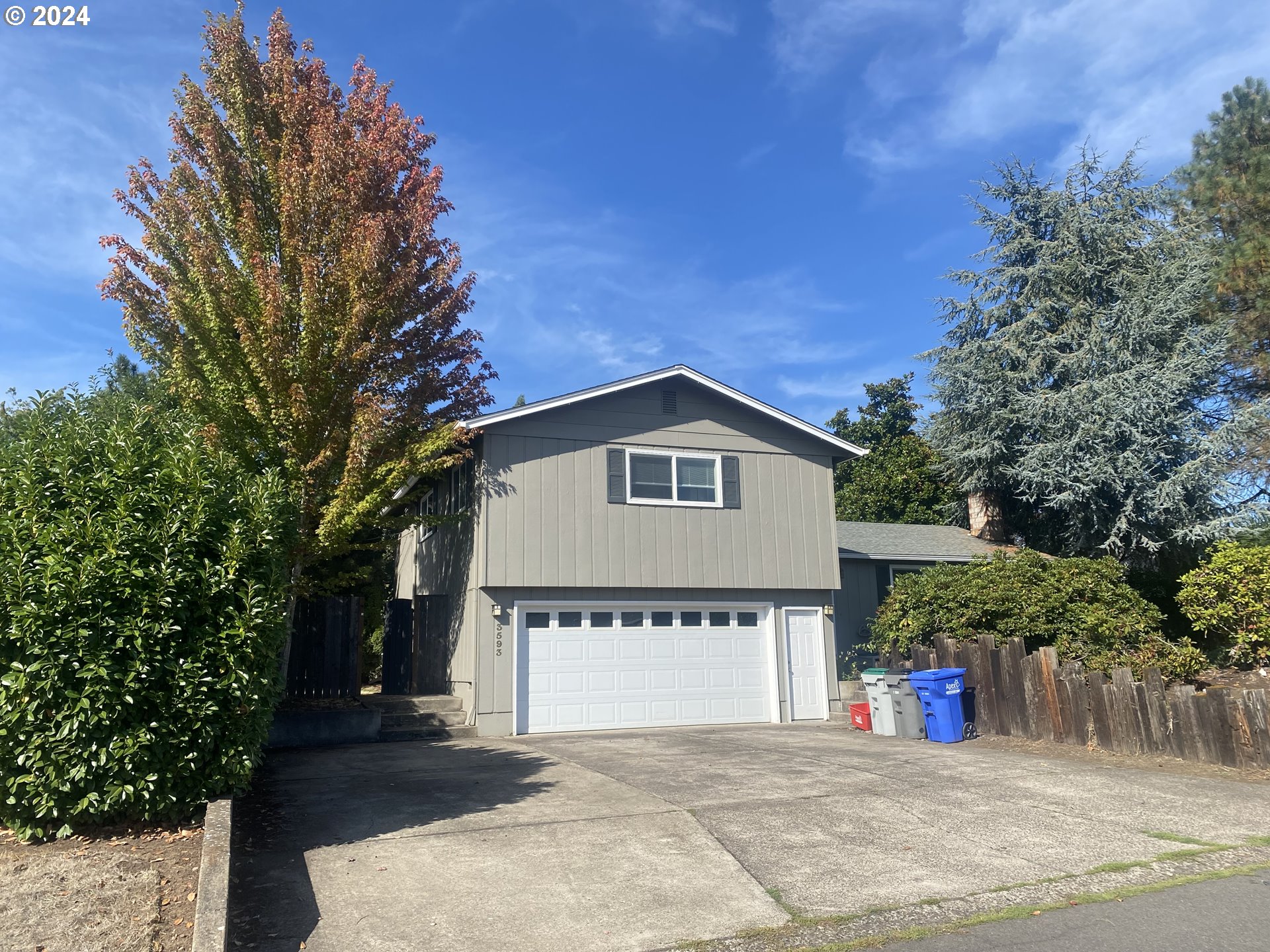 a view of a house with a yard and large tree