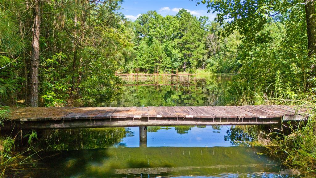 a view of swimming pool with yard