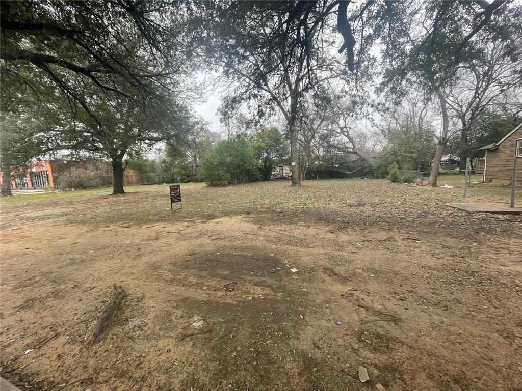 a view of dirt yard with trees