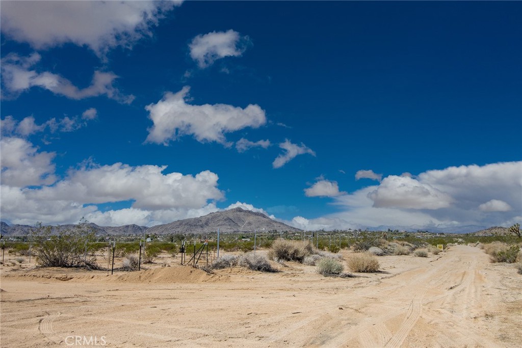 a view of a dry yard