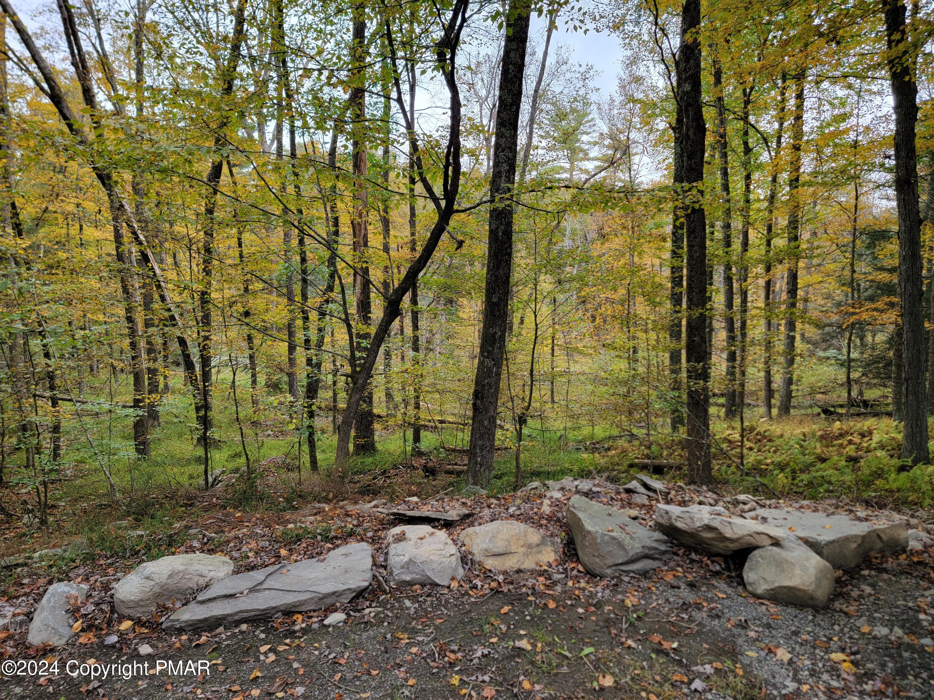 a view of a backyard of the house