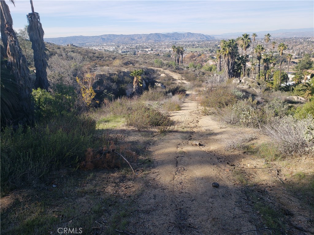 a view of a yard with mountains in the background