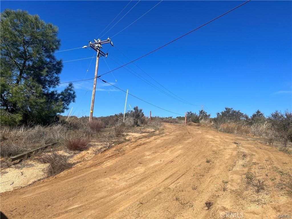 a view of a dry yard