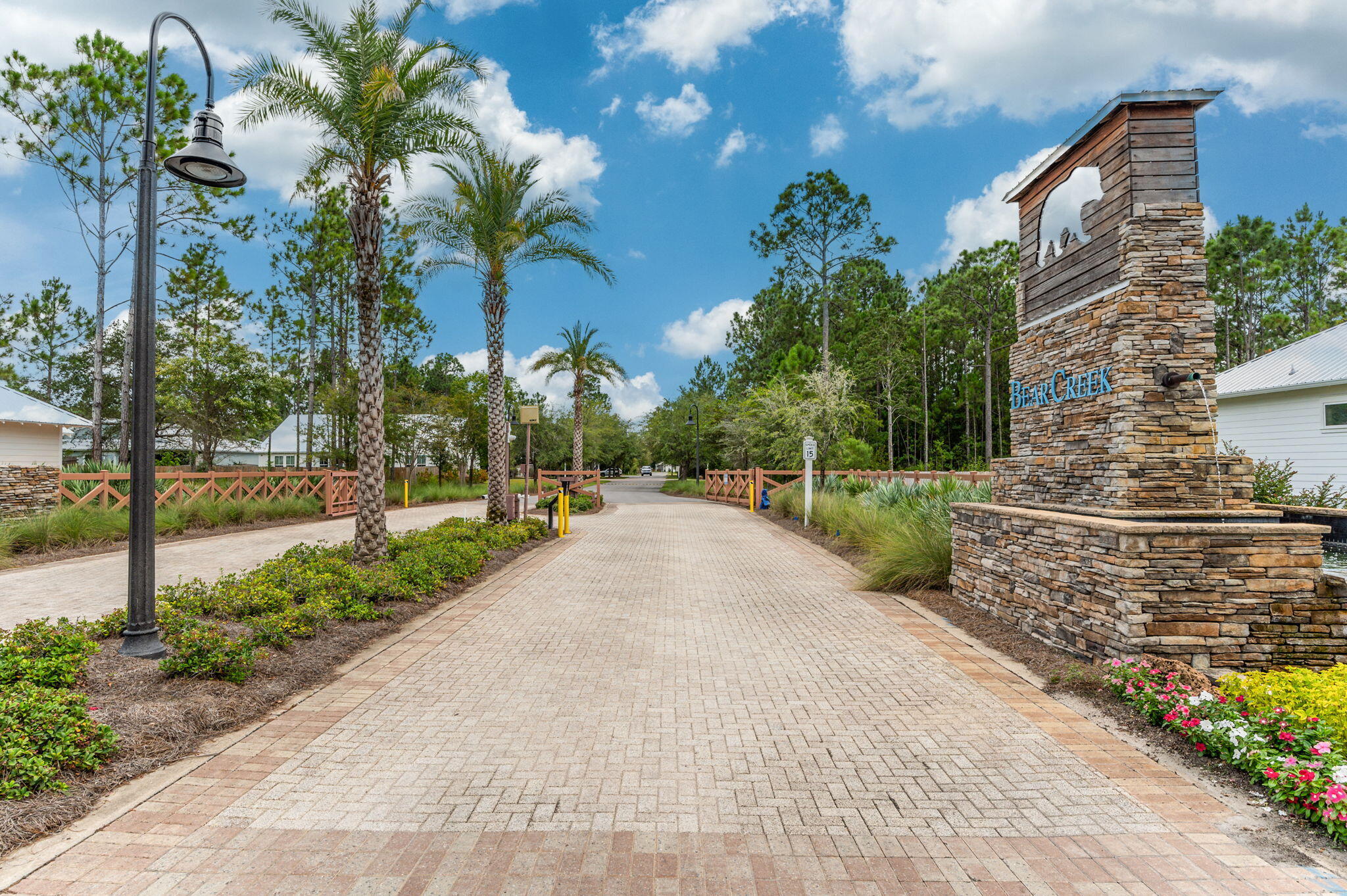 a view of a park with plants and trees beside of road