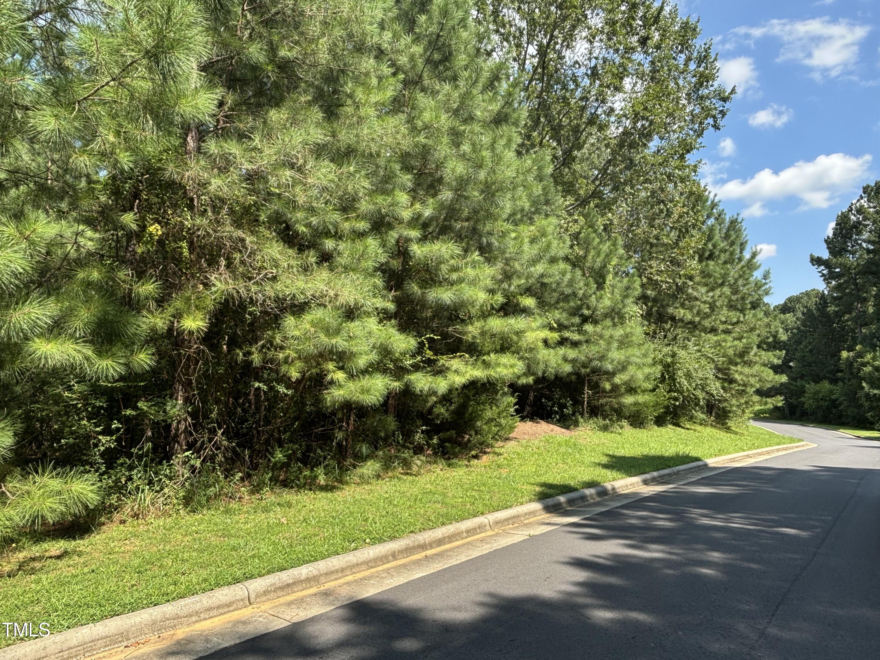 a view of a yard with a trees