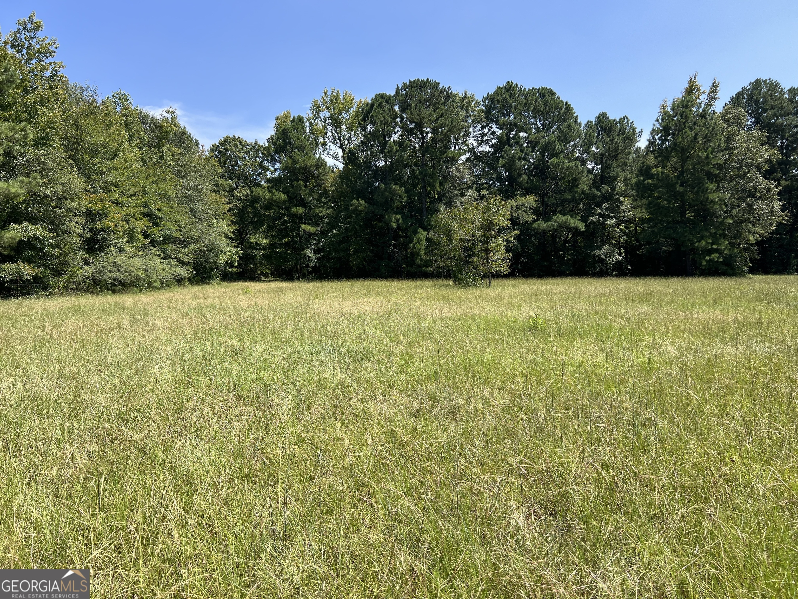 a view of large trees with an outdoor space