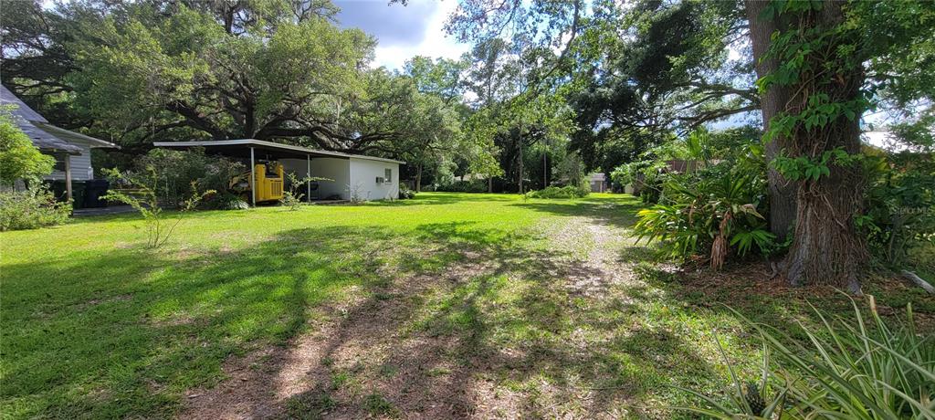 a view of a backyard with large trees