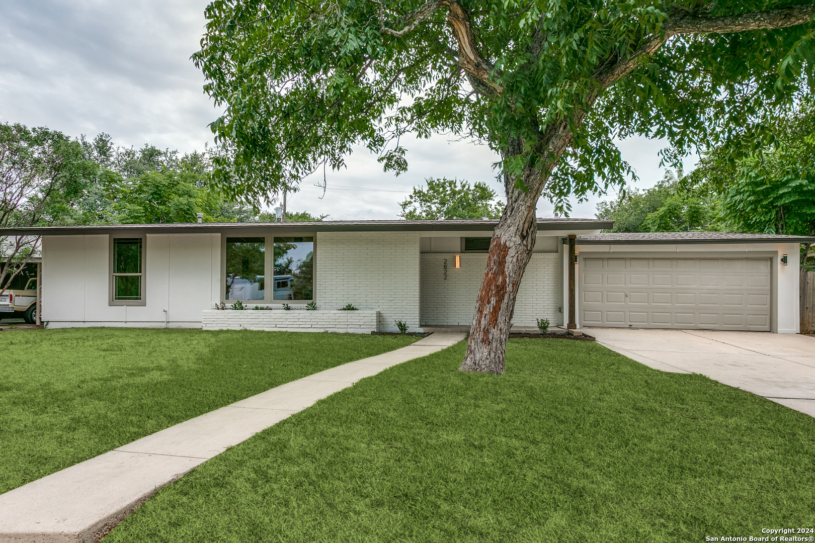 a view of a house with a yard and a large tree