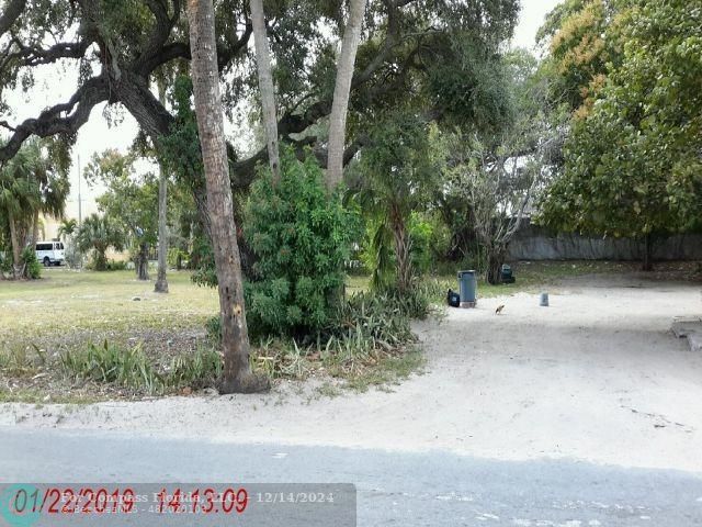 a view of a yard with plants and trees