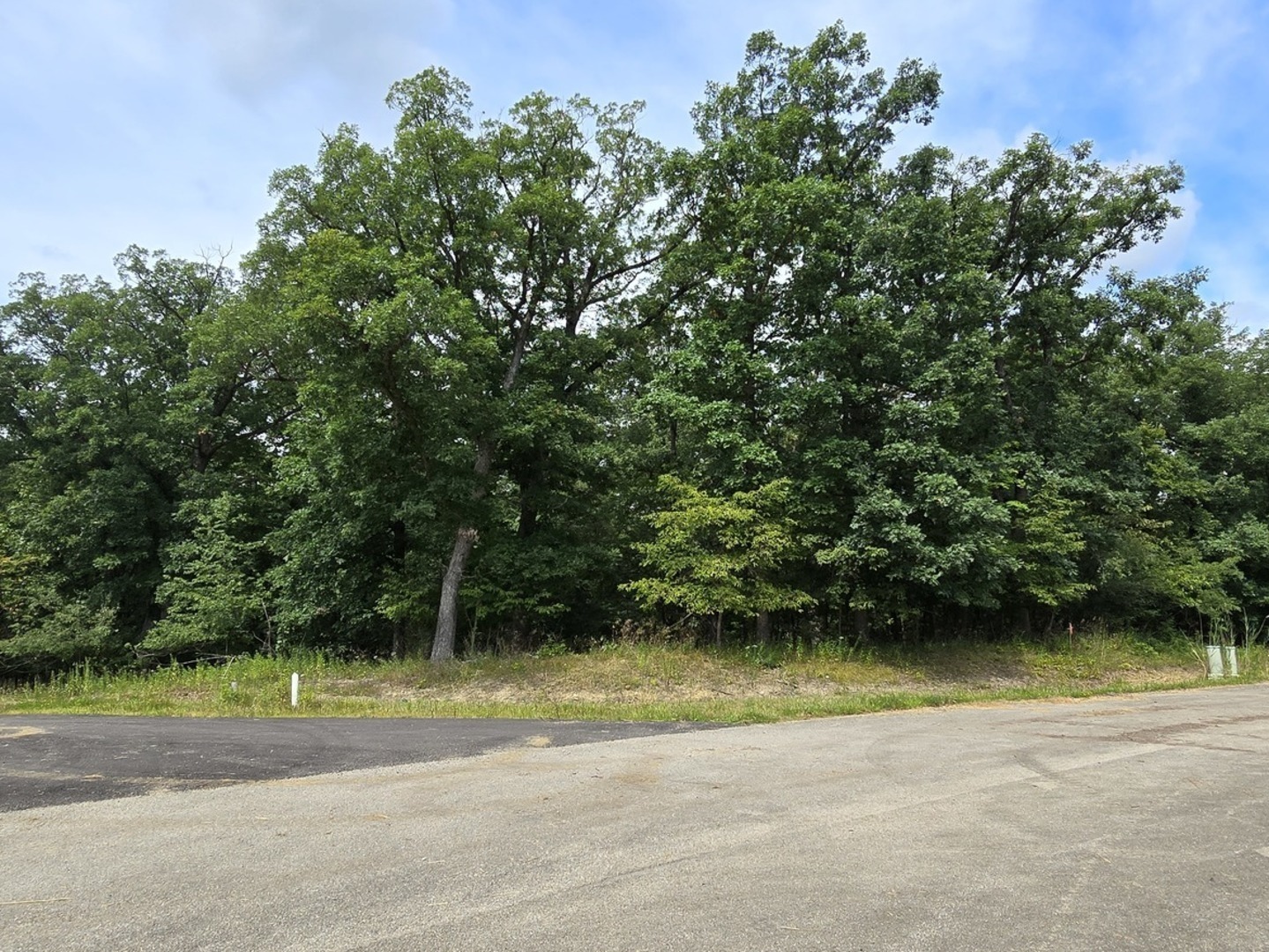 a view of a lake with a trees