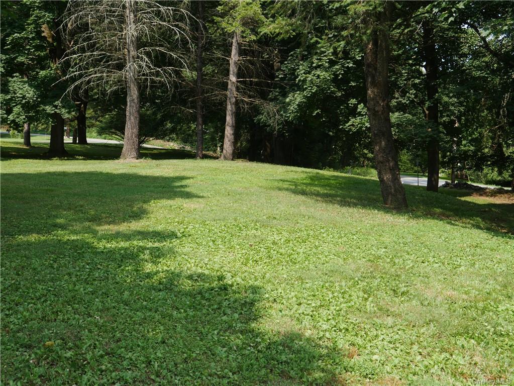 a view of a park with large trees