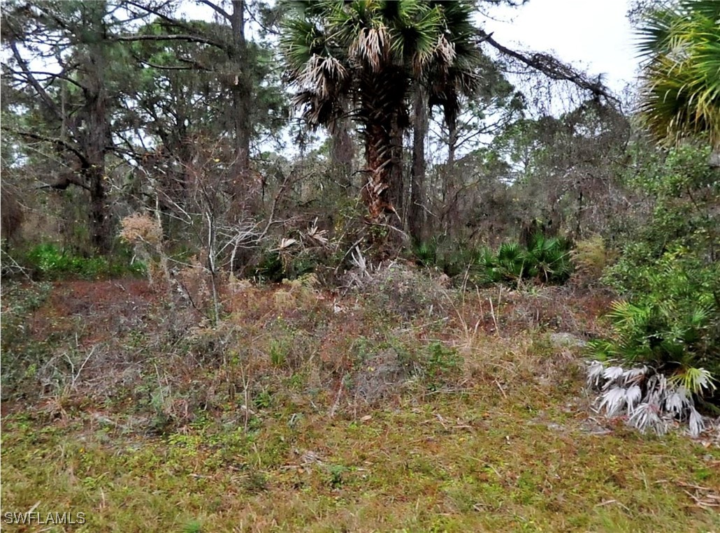 a view of a yard with a tree