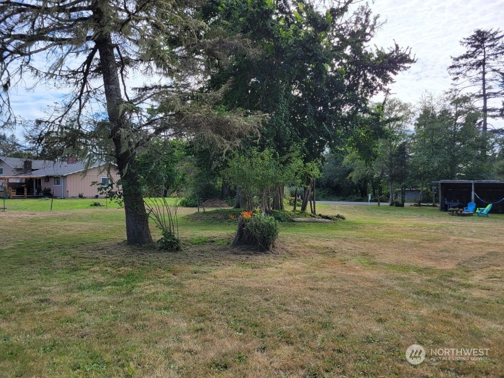 a view of a garden with trees