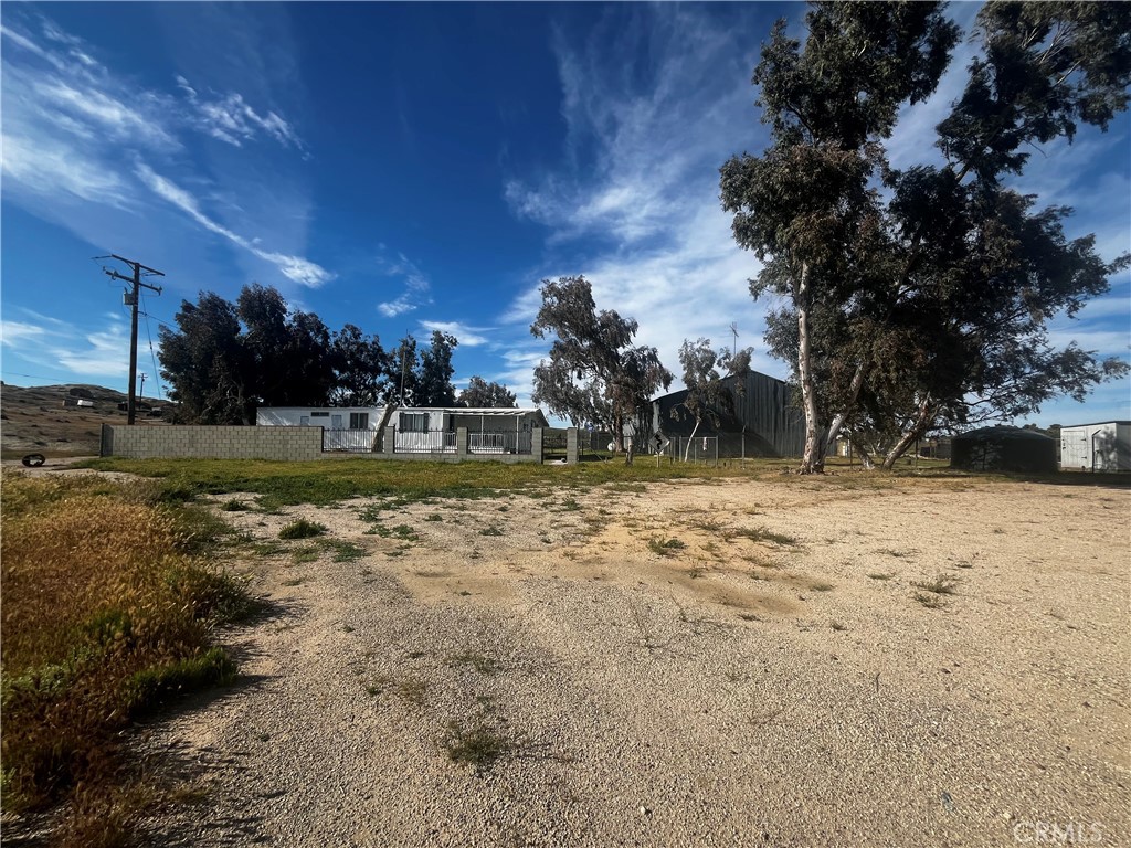 a view of a yard with a tree