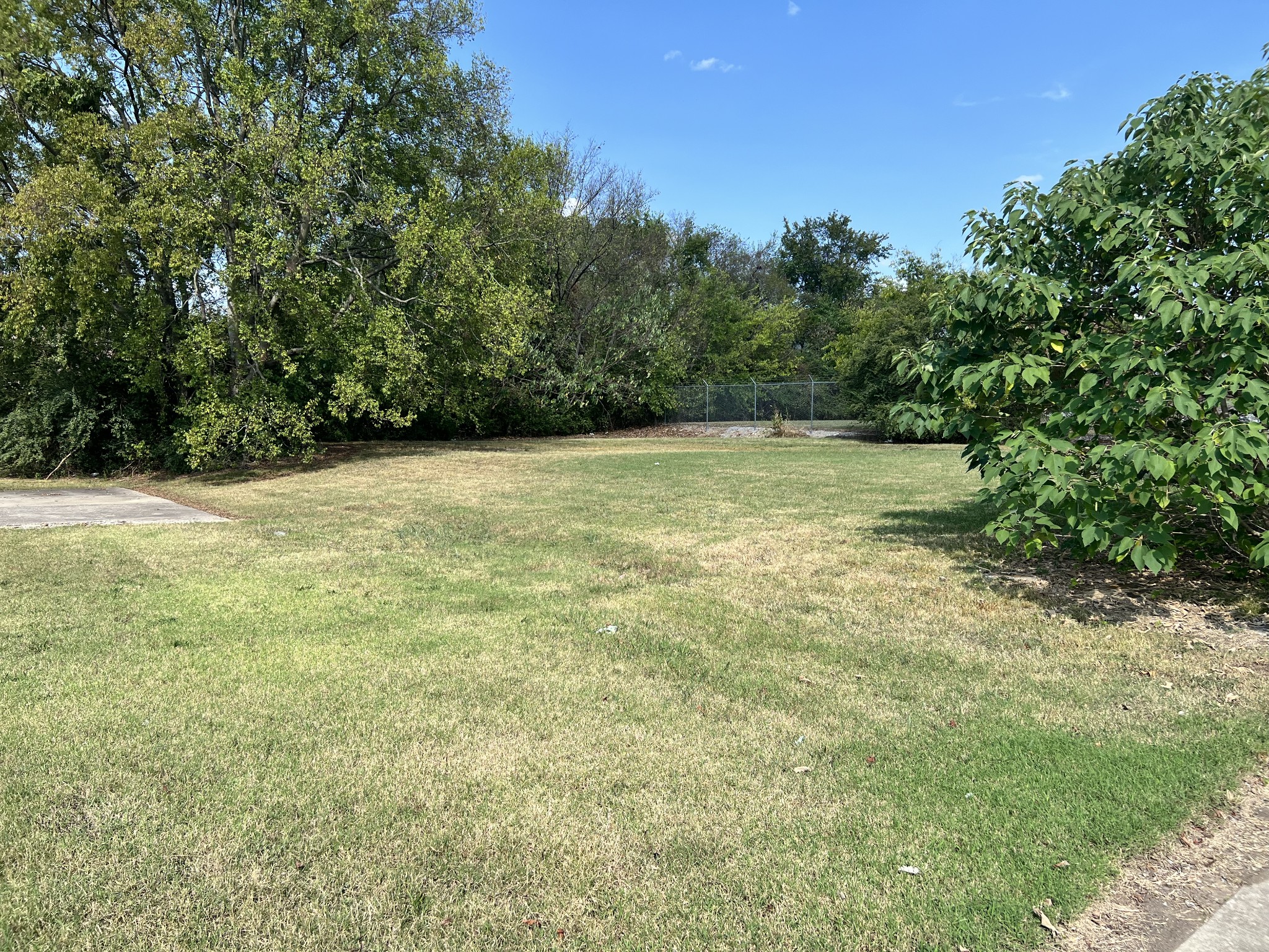 a view of a yard with a trees