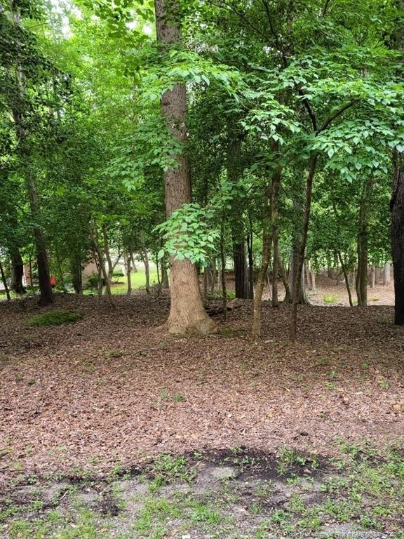 a view of a yard with tree s