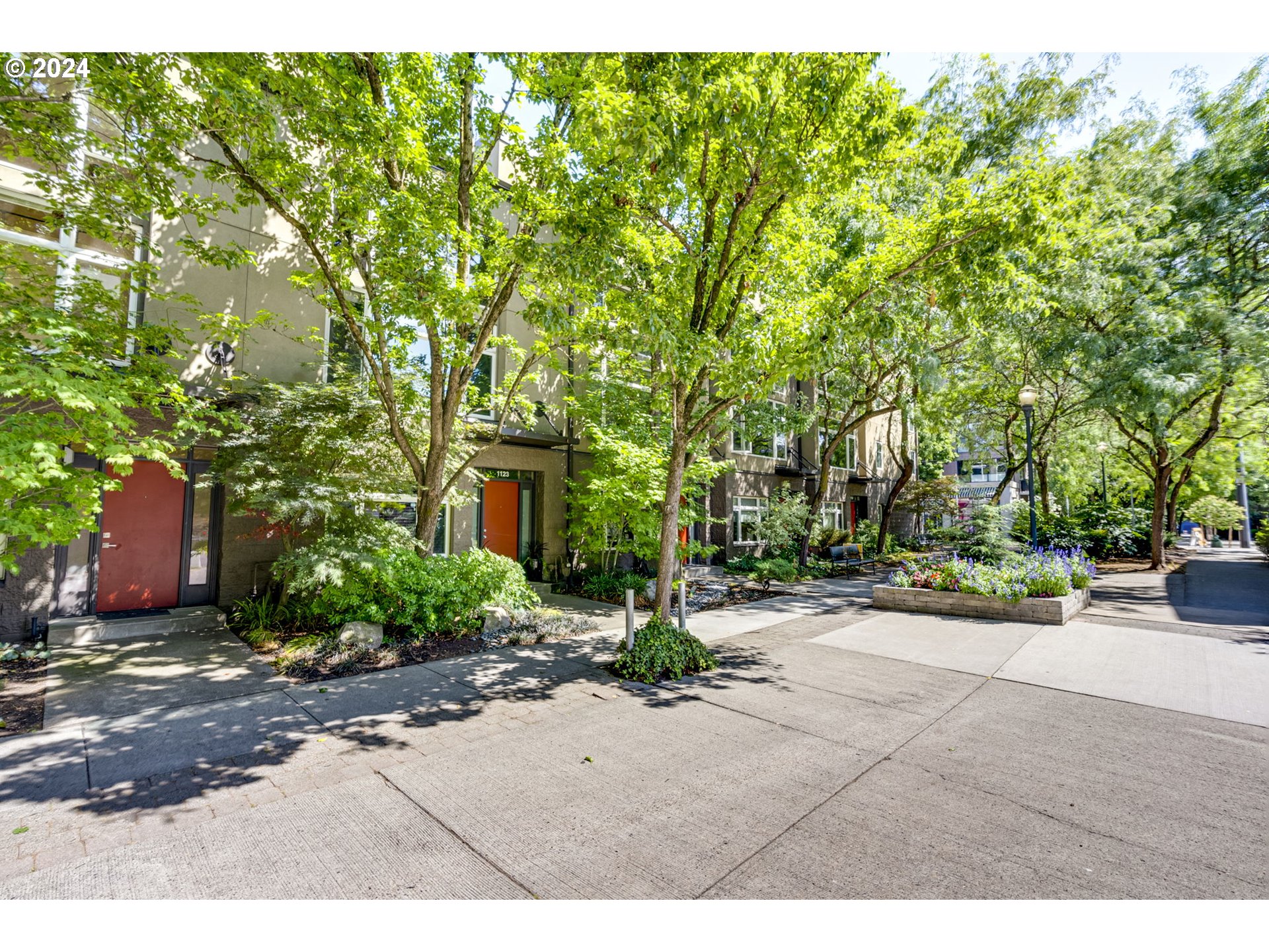 a backyard of a house with plants and trees