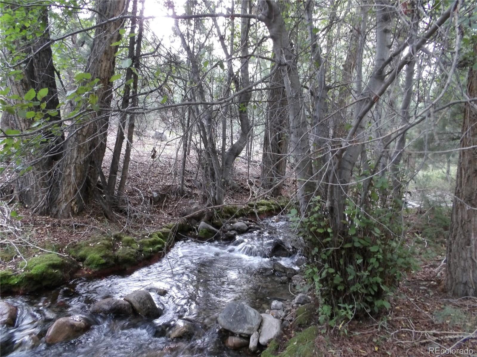 a view of a forest with trees