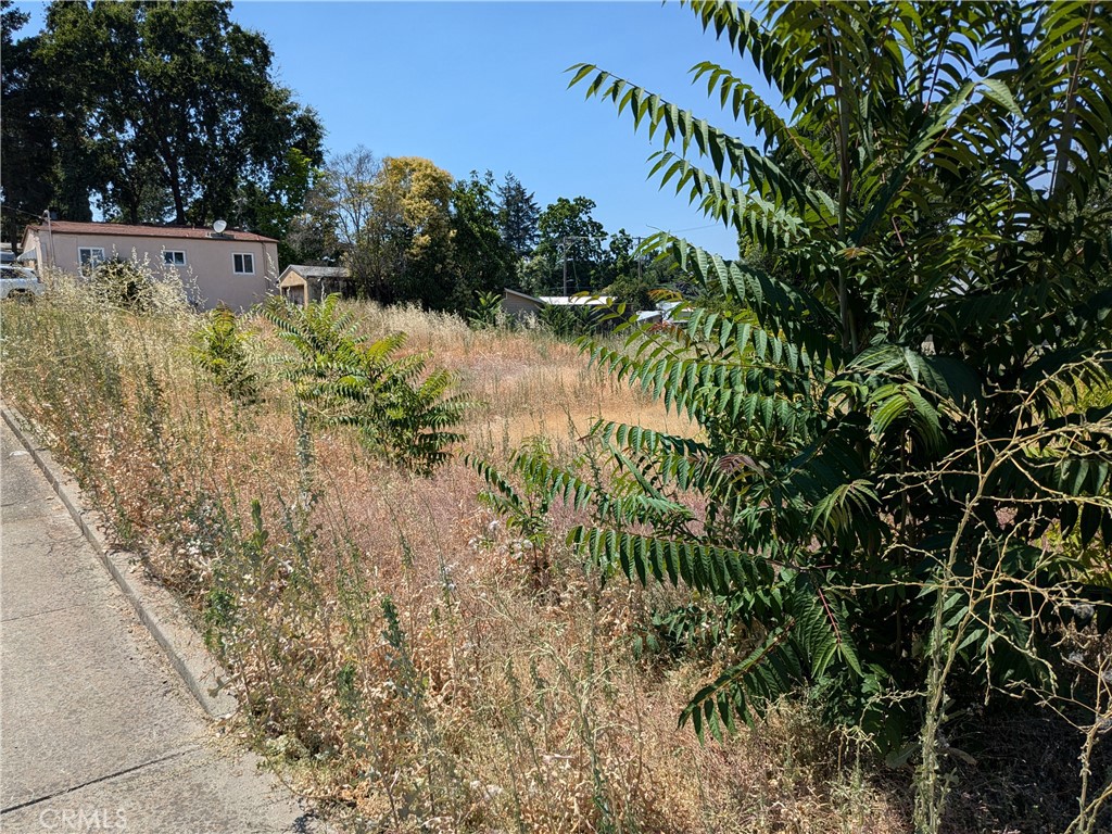 a view of a garden with a house